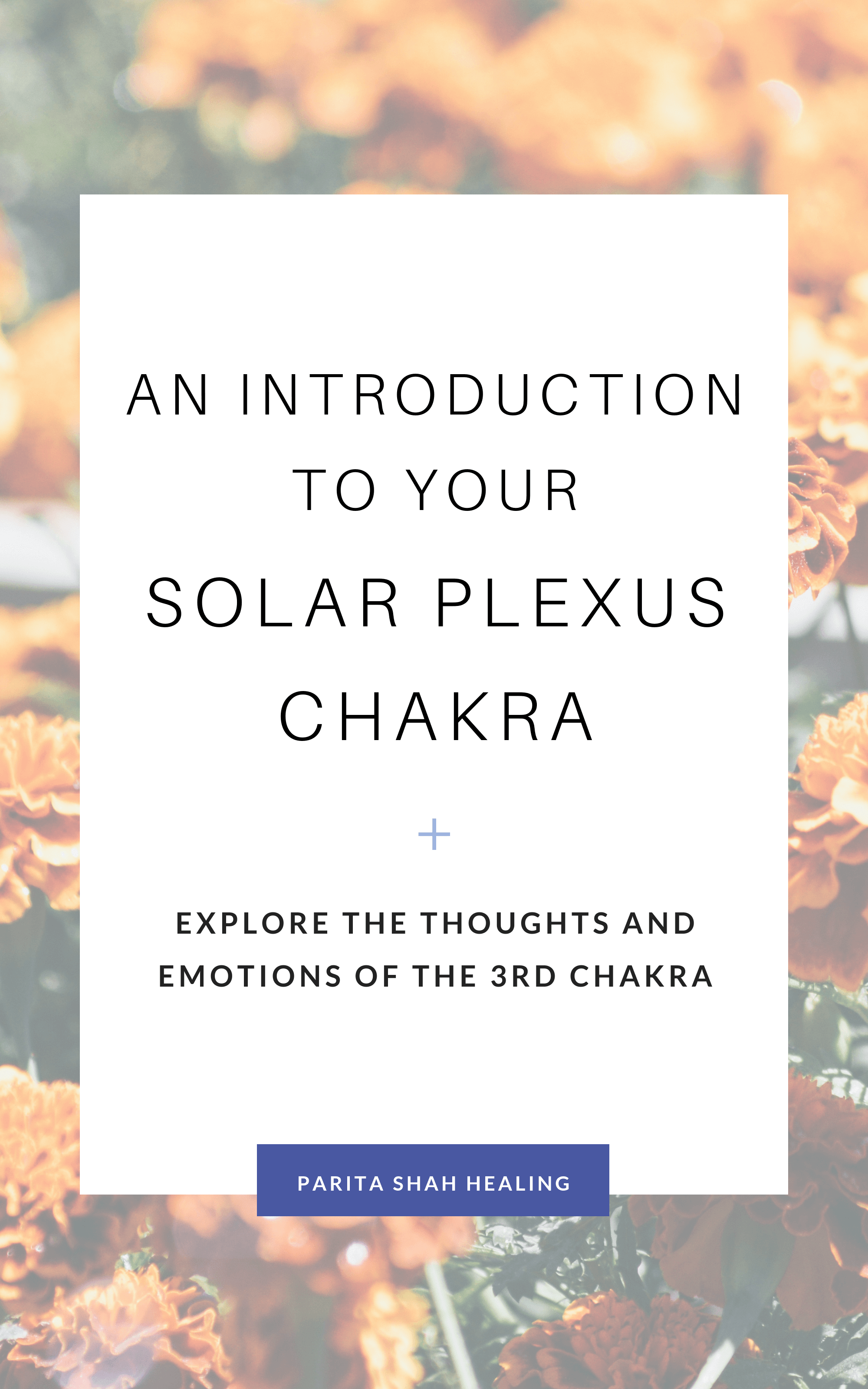 Solar Plexus Guide - Chakra Clearing - Reiki Energy Therapy